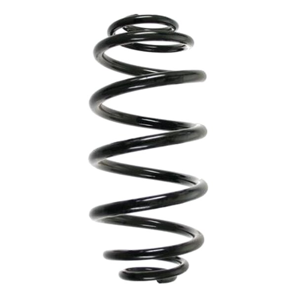 SPIDAN 85356 Fahrwerksfeder hinten