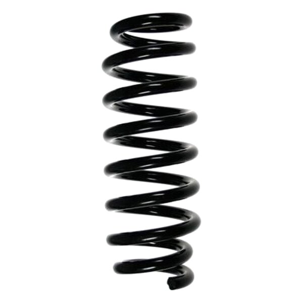 SPIDAN 85424 Fahrwerksfeder hinten