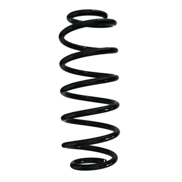 SPIDAN 85446 Fahrwerksfeder hinten