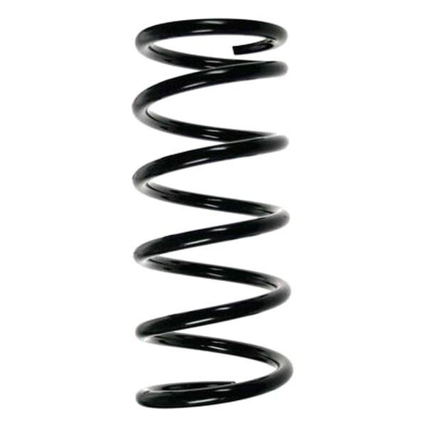 SPIDAN 85506 Fahrwerksfeder hinten