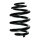 Suspension Spring Rear Axle Coil spring with inconstant wire diameter SPIDAN