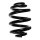 Suspension Spring Rear Axle Coil spring with inconstant wire diameter SPIDAN