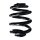 Suspension Spring Rear Axle Coil spring with inconstant wire diameter SPIDAN