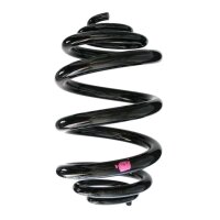 Rear suspension spring coil spring 280mm SPIDAN for VW...