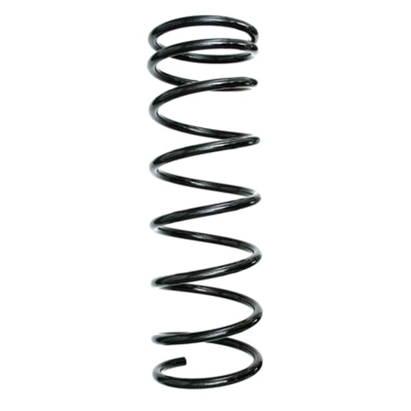 SPIDAN 48591 Fahrwerksfeder hinten