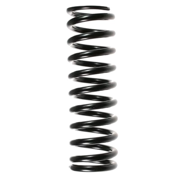 SPIDAN 48679 Fahrwerksfeder hinten