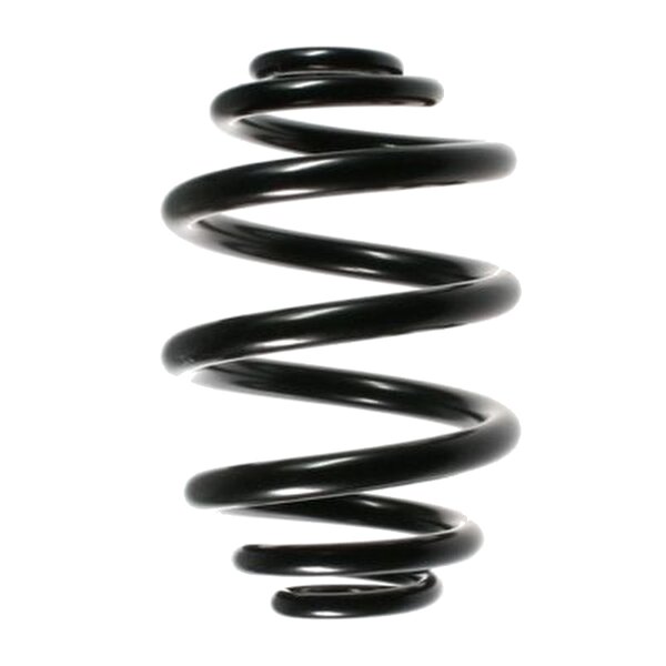 Suspension Spring Rear Axle Mini Block SPIDAN for BMW 3er...