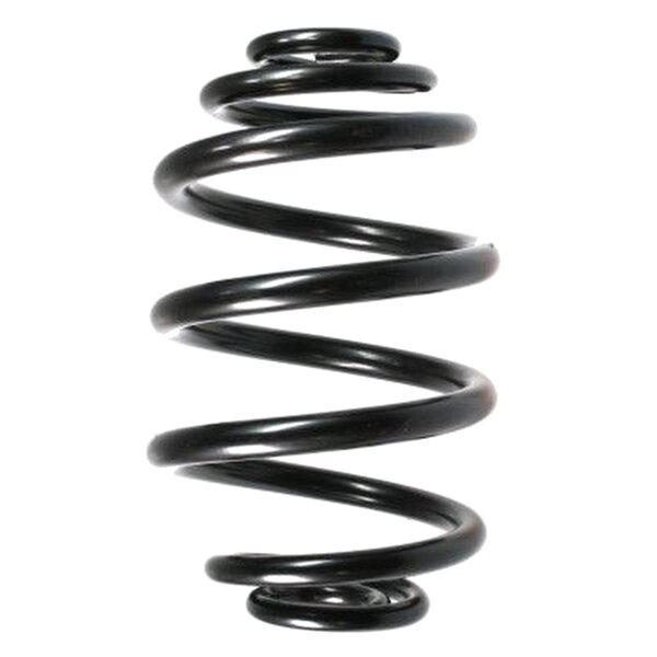 Suspension Spring Rear Axle Mini Block SPIDAN for BMW 3er...