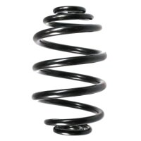 SPIDAN 49164 Fahrwerksfeder hinten