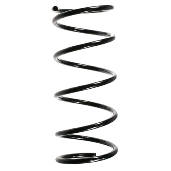 SPIDAN 49217 Fahrwerksfeder hinten