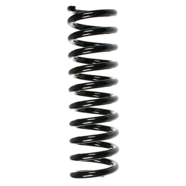 SPIDAN 49222 Fahrwerksfeder hinten
