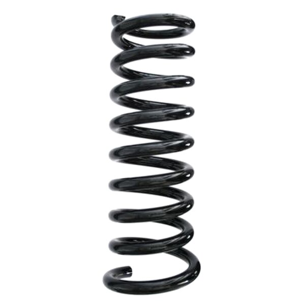 SPIDAN 49224 Fahrwerksfeder hinten