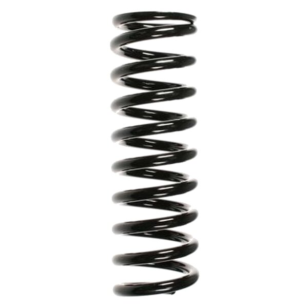 SPIDAN 49237 Fahrwerksfeder hinten