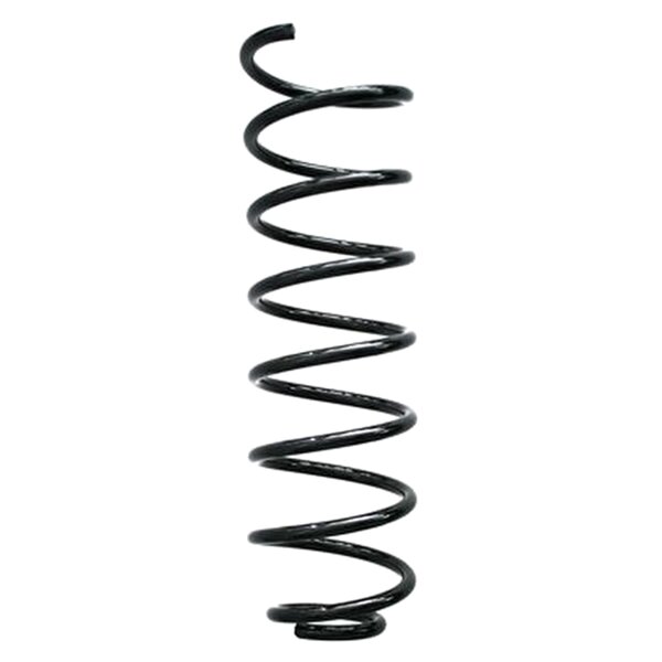 SPIDAN 49429 Fahrwerksfeder hinten