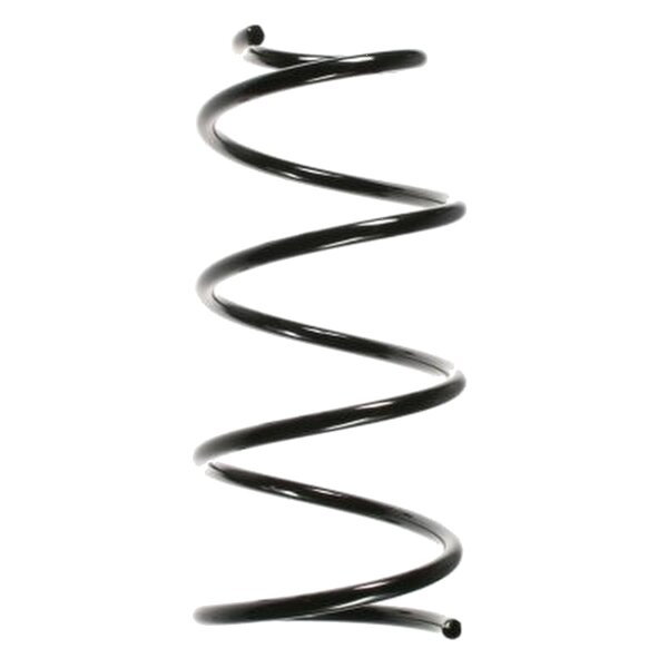 SPIDAN 49481 Fahrwerksfeder hinten