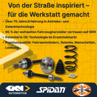 Fahrwerksfeder Hinterachse Schraubenfeder Ø120mm SPIDAN für u.a. FIAT Punto