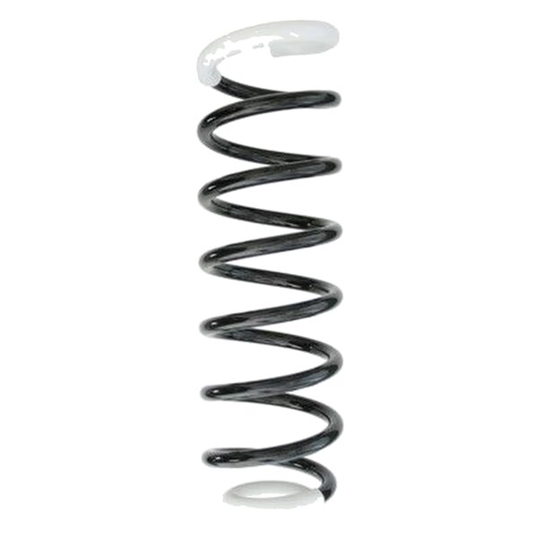 SPIDAN 49693 Fahrwerksfeder hinten