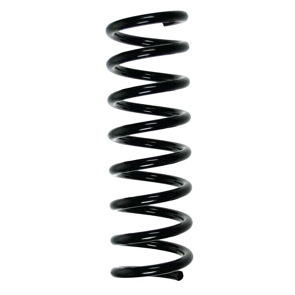 SPIDAN 49728 Fahrwerksfeder hinten