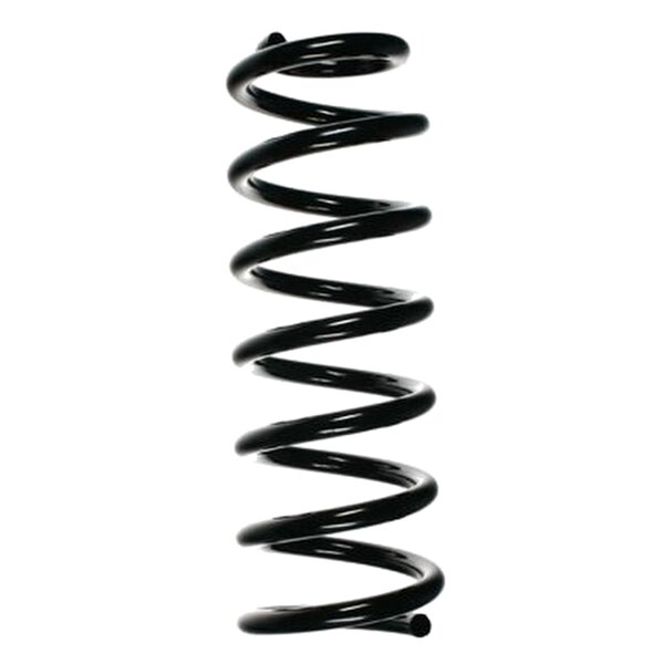 SPIDAN 49785 Fahrwerksfeder hinten