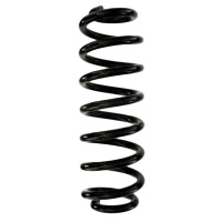Suspension spring rear axle coil spring Ø109mm SPIDAN for e.g. VW Tiguan