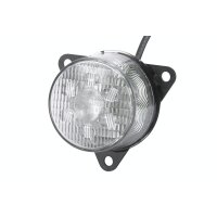 Blinkleuchte hinten LED HELLA für DAF