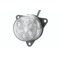 Blinkleuchte hinten LED HELLA für DAF