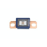 Fuse PAL block fuse series2 100 A JASO 0612 HELLA for...