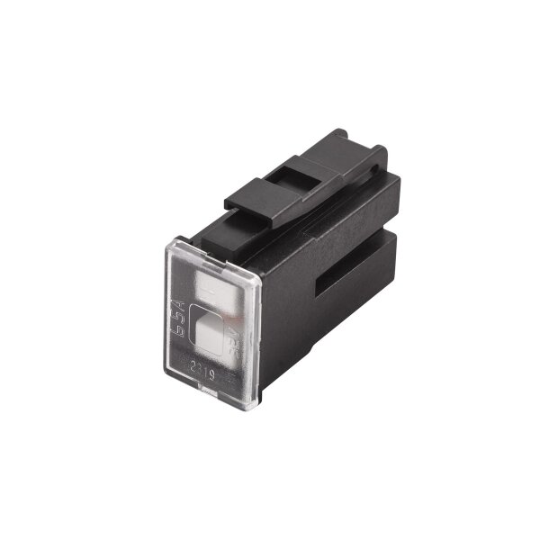 Sicherung PAL-Blocksicherung Serie2 65 A JASO 0612 HELLA für diverse Fzg.