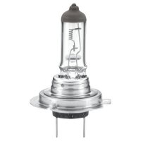 Bulb Headlight 24 V 70 W H7 PX26d crystal clear HELLA for...