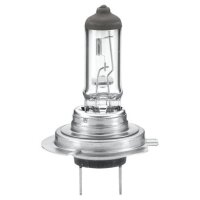 Bulb 24 V 70 W extended life PX26d crystal clear HELLA...
