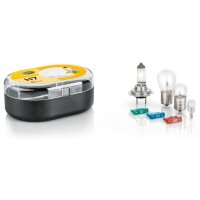 Sortiment Glühlampen Halogen HELLA 8GH 007 157-941