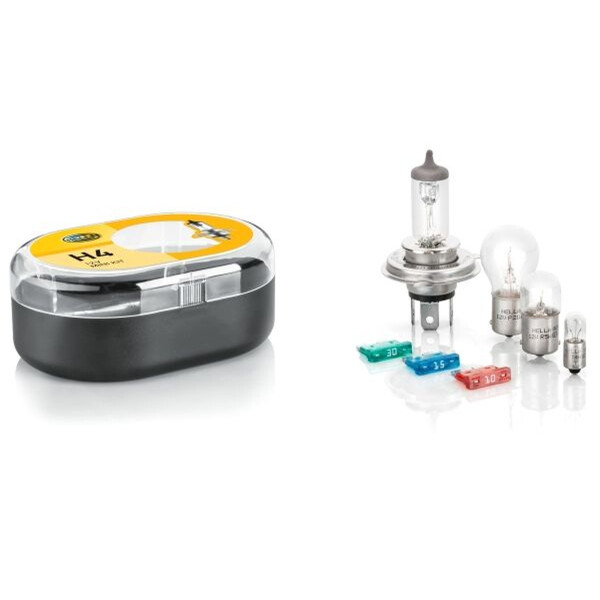 Sortiment Glühlampen 12 V T4W Halogen HELLA Licht-Expertise passend für VW
