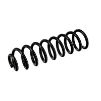 Suspension Spring Rear Axle Coil Spring Ø 11.8 mm EIBACH for RENAULT GRAND