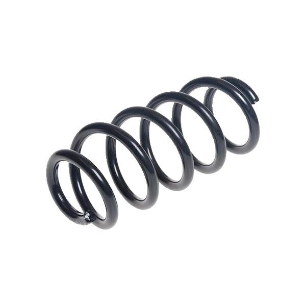 Suspension Spring Rear Axle Coil Spring TRISCAN for TOYOTA RAV
