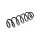 Suspension Spring Rear Axle Coil Spring TRISCAN suitable for AUDI A4