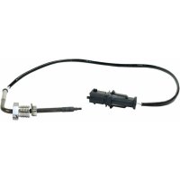Exhaust gas temperature sensor before soot particle...
