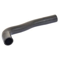 Kühlerschlauch links oben von Thermostat nach...