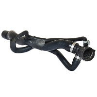 Radiator Hose from manifold to water pipe METZGER for...