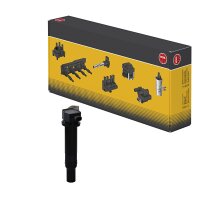 Ignition coil connection-AF SAE output input NGK for...