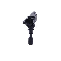 Ignition coil with 2 inputs and outputs NGK for e.g. HYUNDAI XG