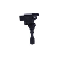 Ignition coil with 2 inputs and outputs NGK for e.g. HYUNDAI XG