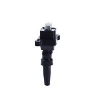 Ignition coil terminal version SAE 1 output input NGK for CITROËN XSARA