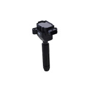 Ignition coil connection-AF SAE output input NGK for e.g....