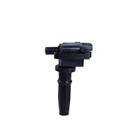 Ignition coil 2 inputs and outputs NGK for e.g. HYUNDAI SANTA FÉ I