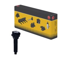 Zündspule SAE inkl. Zündkerzenstecker 3...