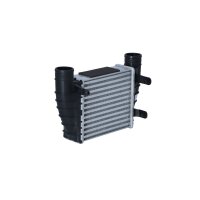 Intercooler heat exchanger principle 202 mm - 189 mm NRF for AUDI A4 and others