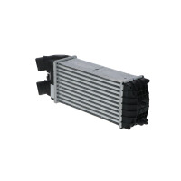 Intercooler 300 mm - 148 mm NRF for CITROËN BERLINGO...