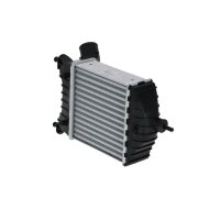 Intercooler 202 mm - 192 mm NRF suitable for e.g. FIAT PUNTO