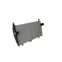 Intercooler 724 mm - 365 mm NRF suitable for e.g. CITROËN C5
