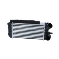 Ladeluftkühler NRF für FORD C-MAX II